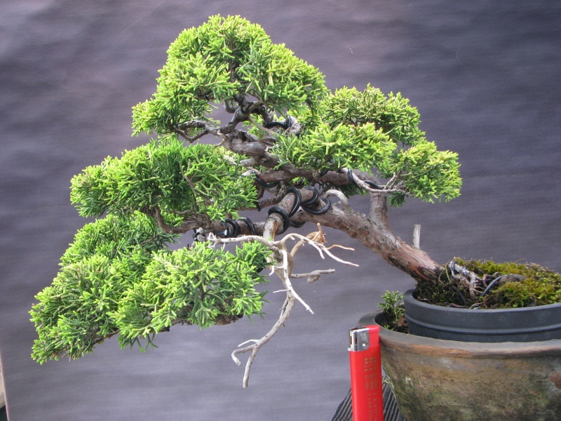 IMG_0161 (800x600).jpg