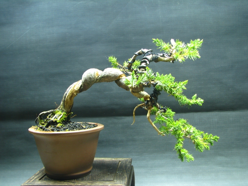 IMG_0067 (800x600).jpg