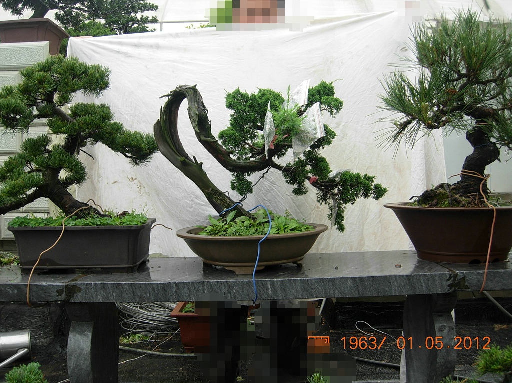 DSCN6058.JPG