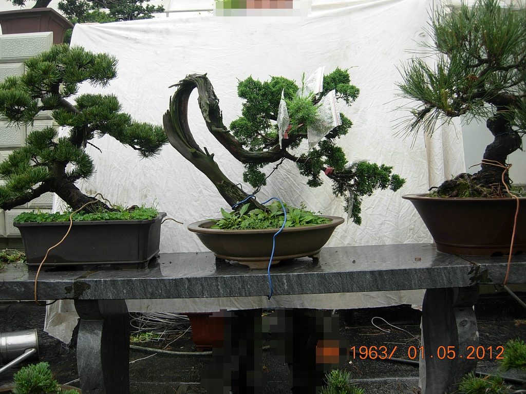 DSCN6059.JPG
