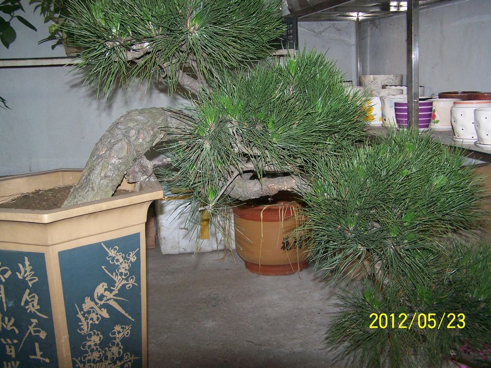 100_4583.jpg