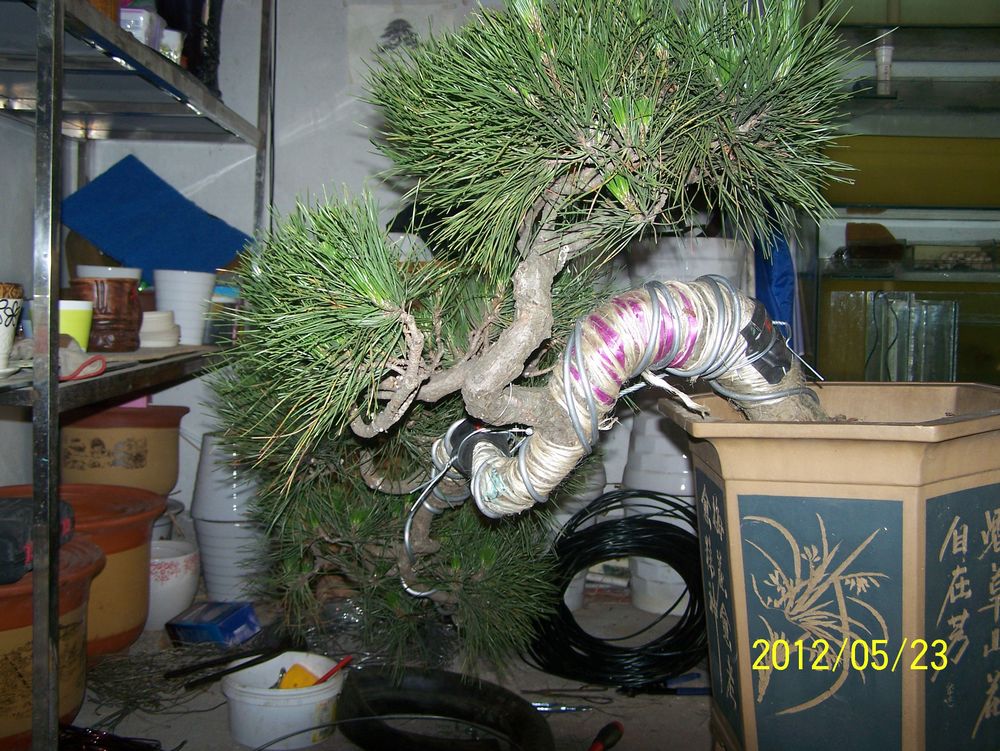 100_4588.jpg