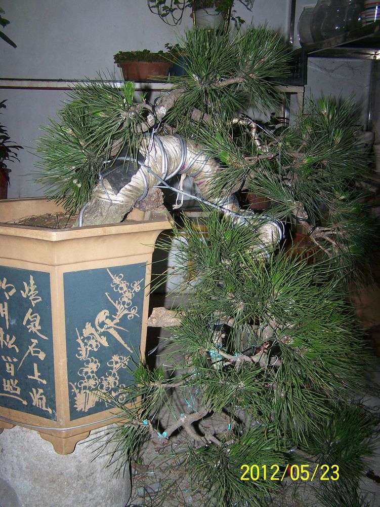 100_4592.jpg