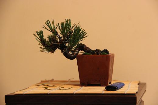 Ƭ 008.jpg