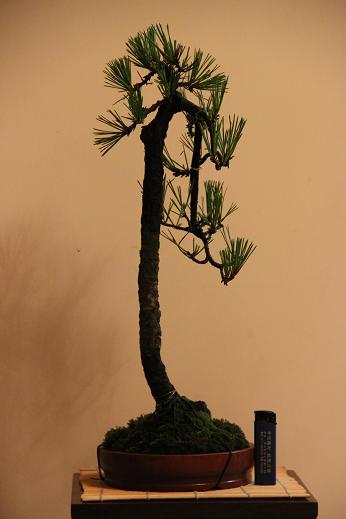 Ƭ 011.jpg