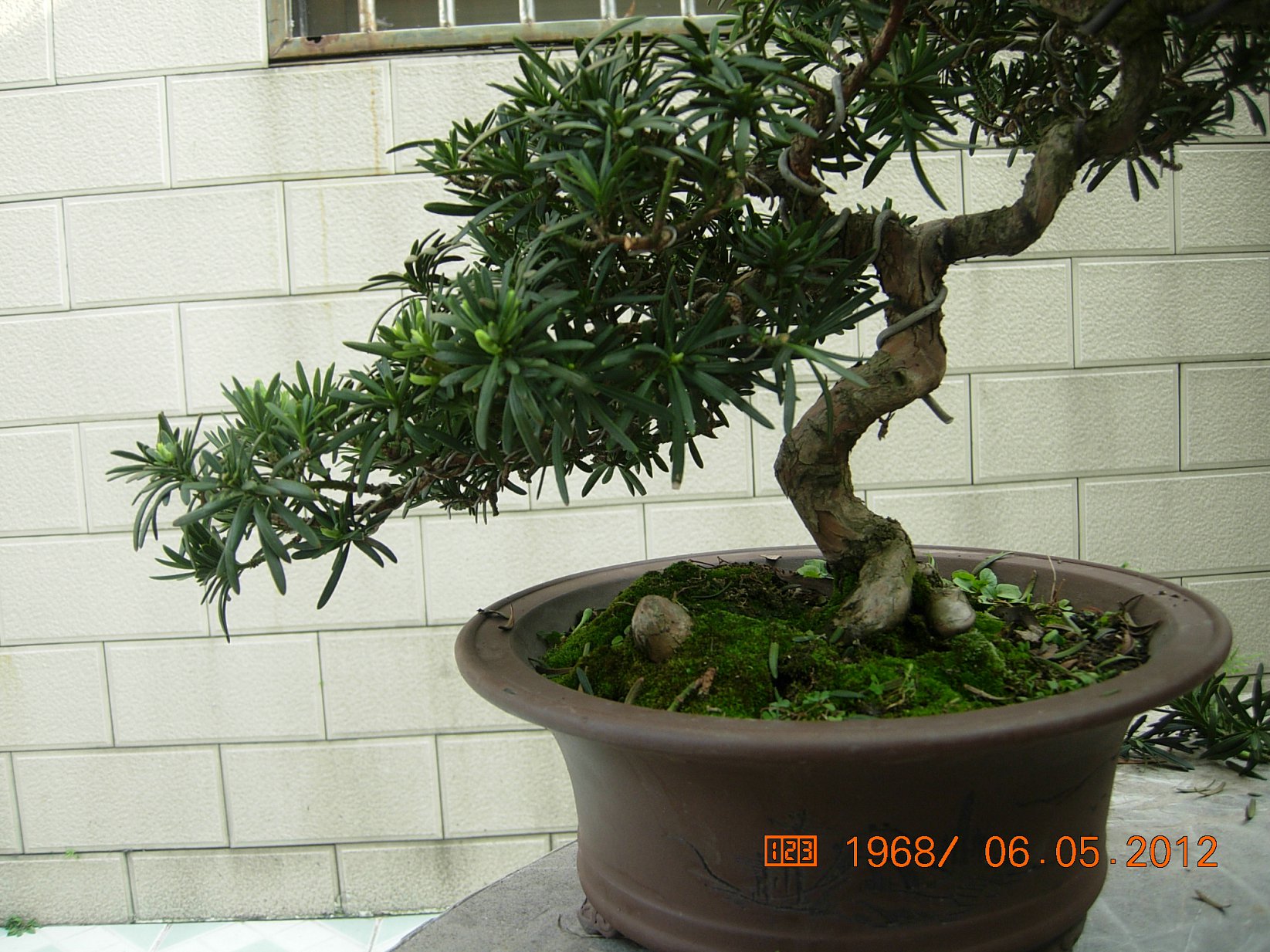 DSCN6118.JPG