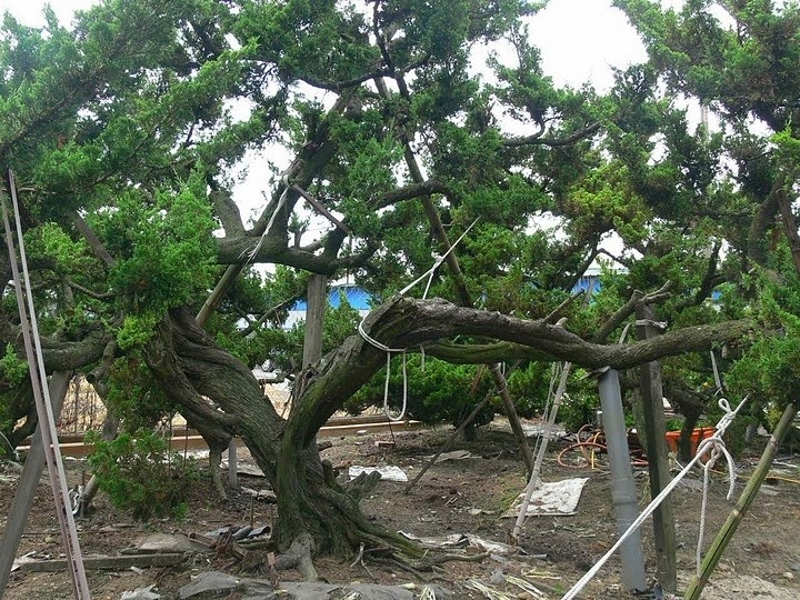 taiwan11.jpg