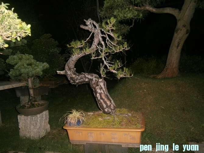 psb[6].jpg