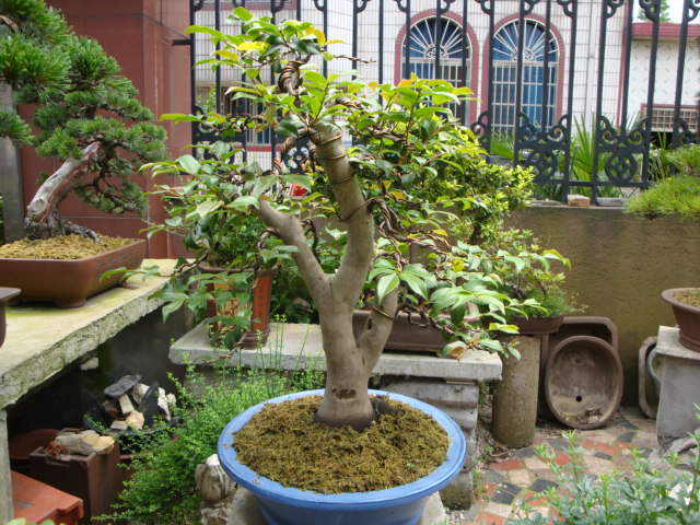 DSC09105.JPG
