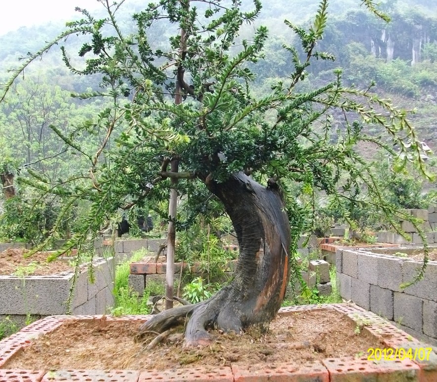 201248.jpg