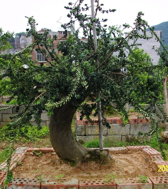 201260.jpg