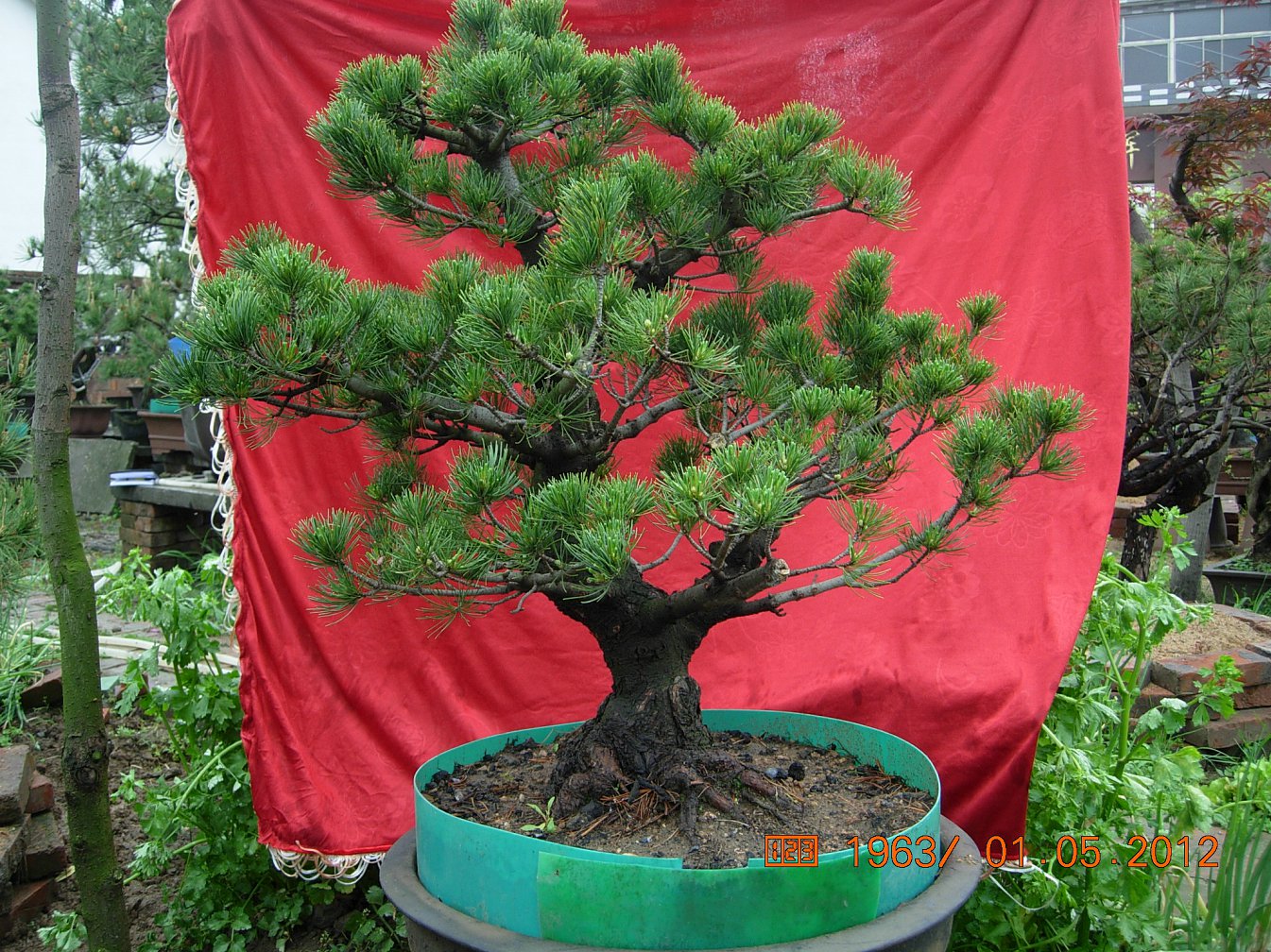 DSCN6099.JPG