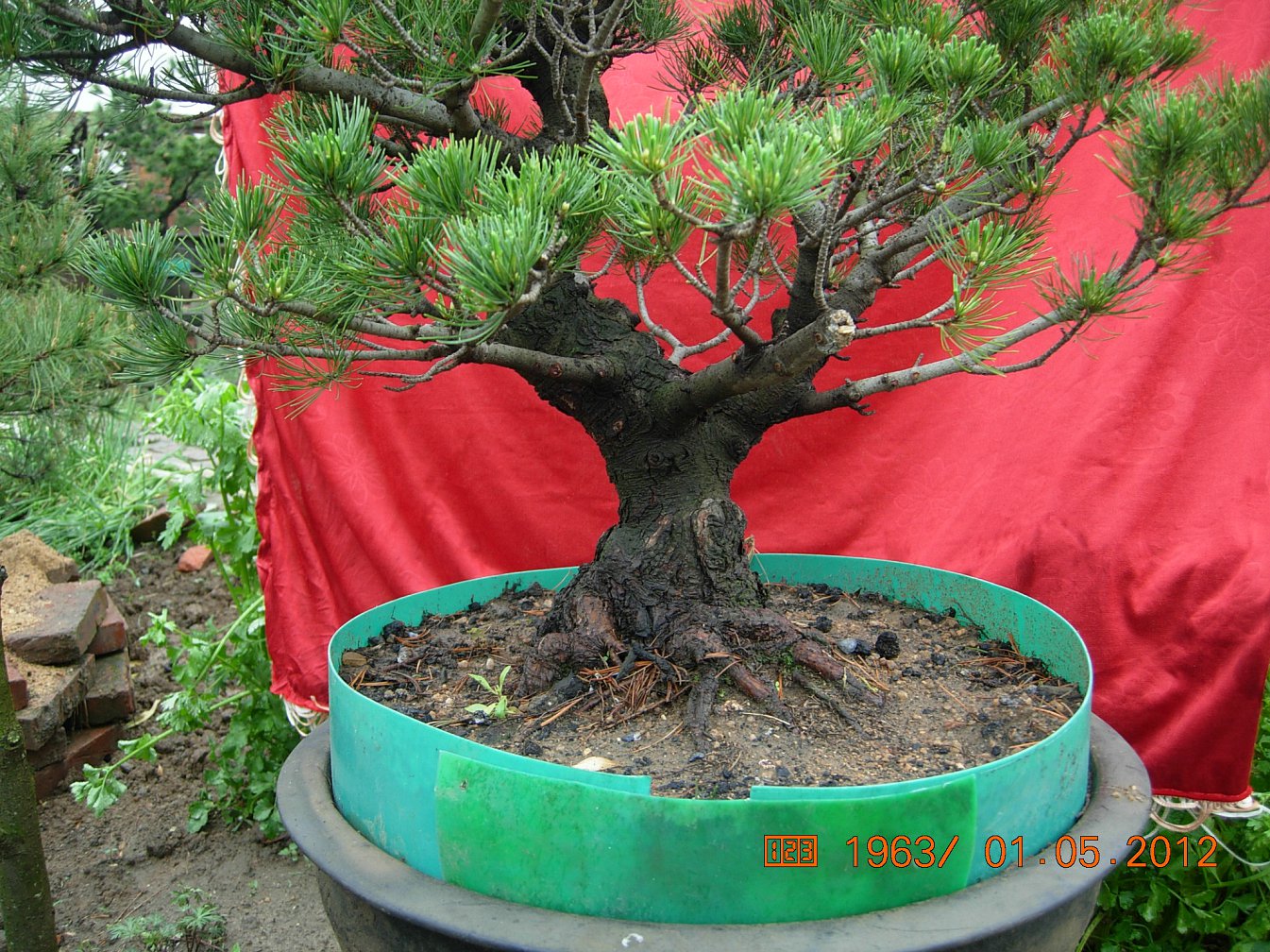 DSCN6100.JPG