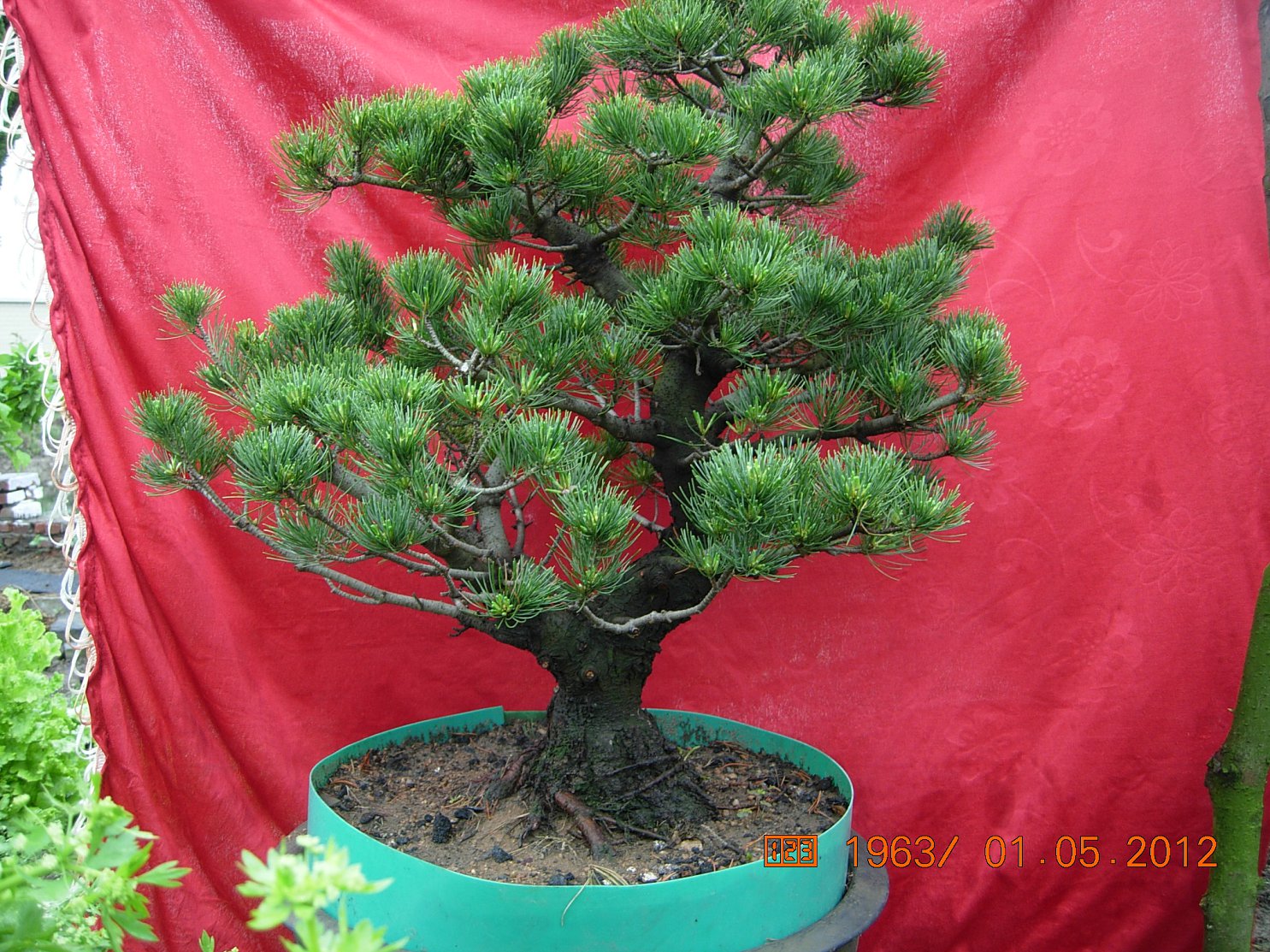 DSCN6101.JPG
