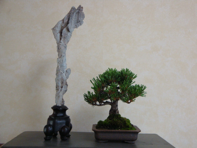 DSC09106.JPG