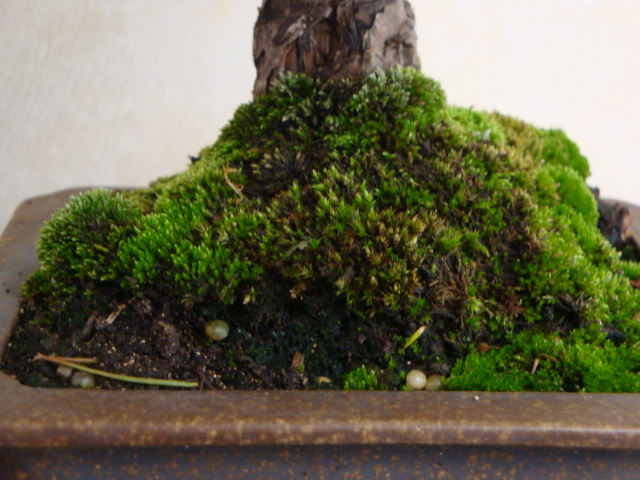 DSC09108.JPG