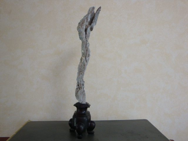 DSC09110.JPG