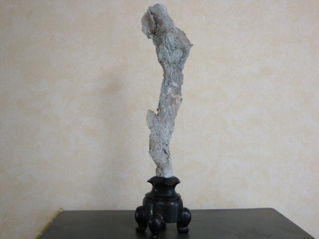 DSC09111.JPG