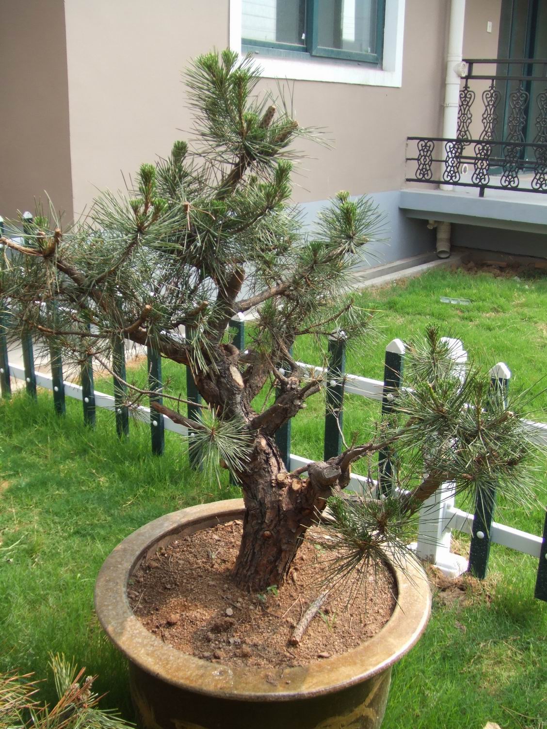 С DSCF2851.JPG