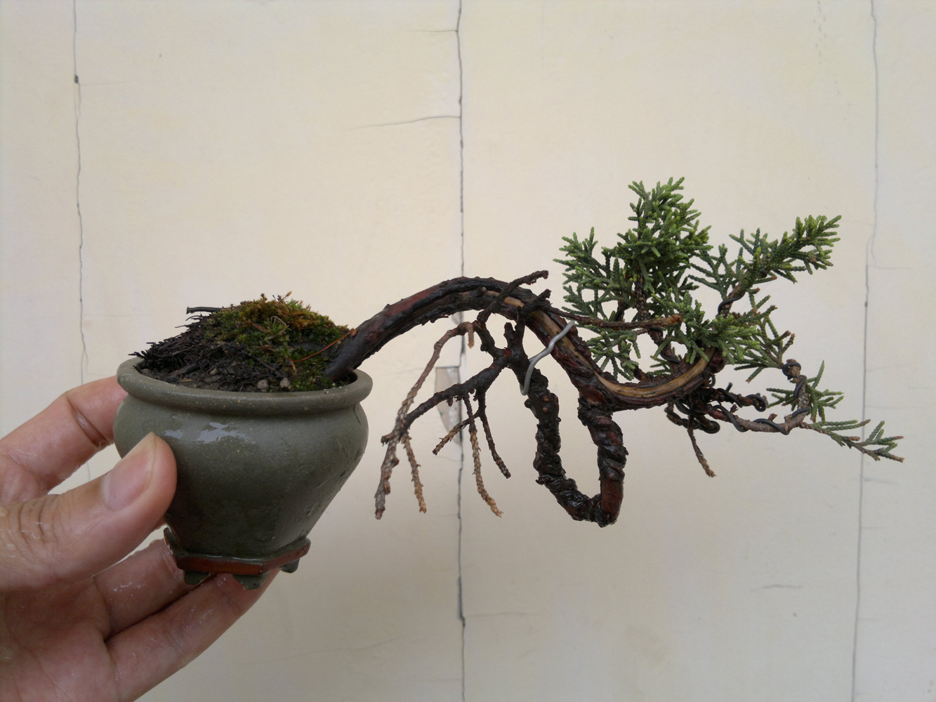 20120527968.jpg