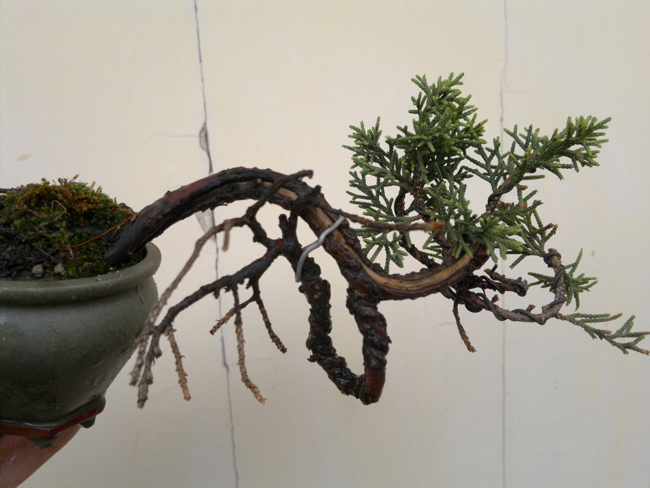20120527969.jpg