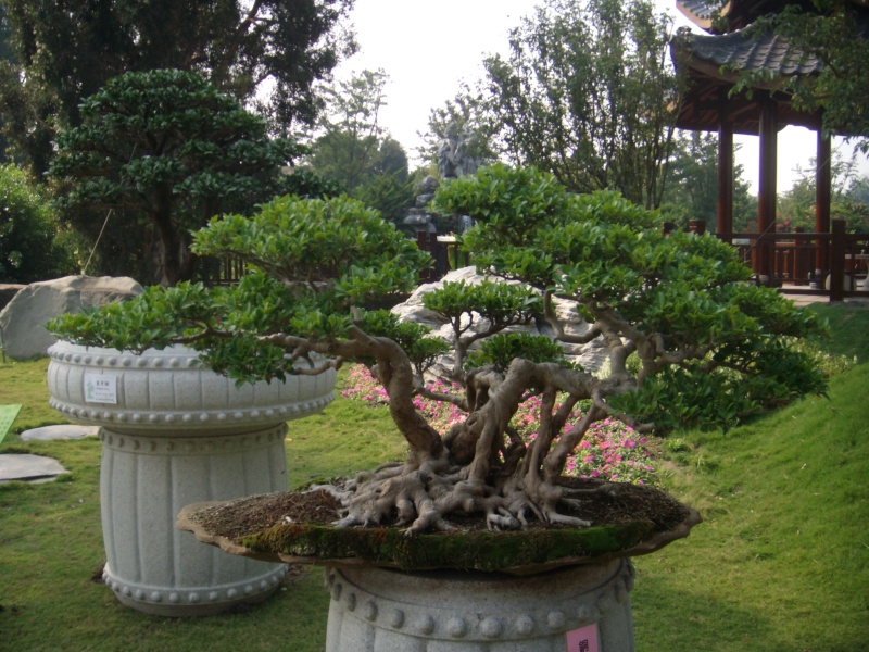 dscn2813.jpg