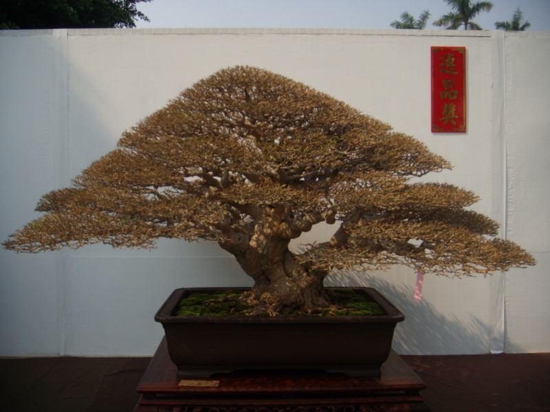 dscn2814.jpg