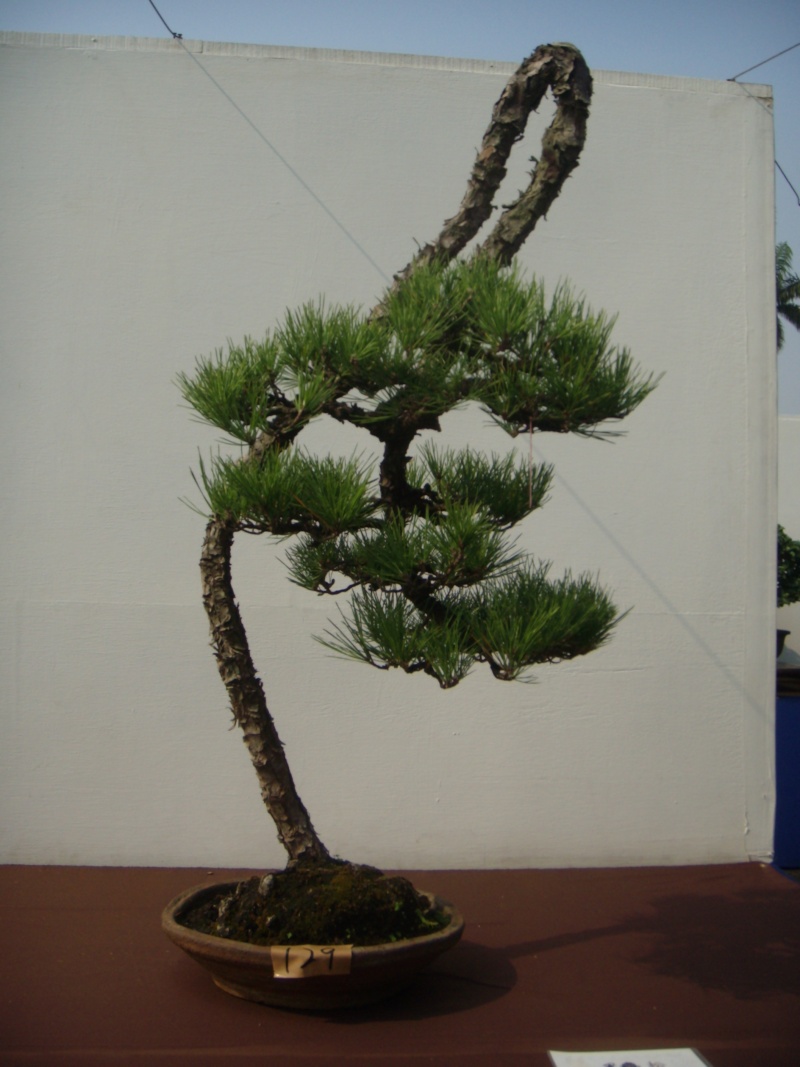 dscn2815.jpg