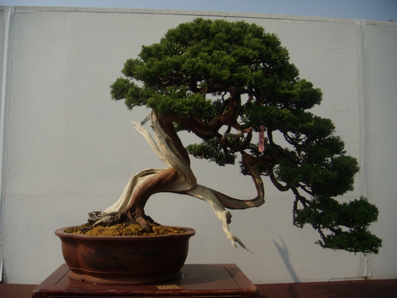 dscn2816.jpg