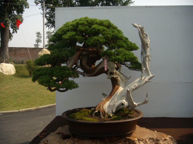 dscn2822.jpg