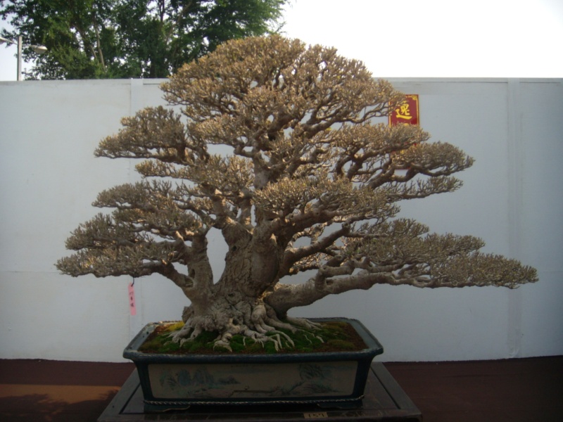 dscn2823.jpg