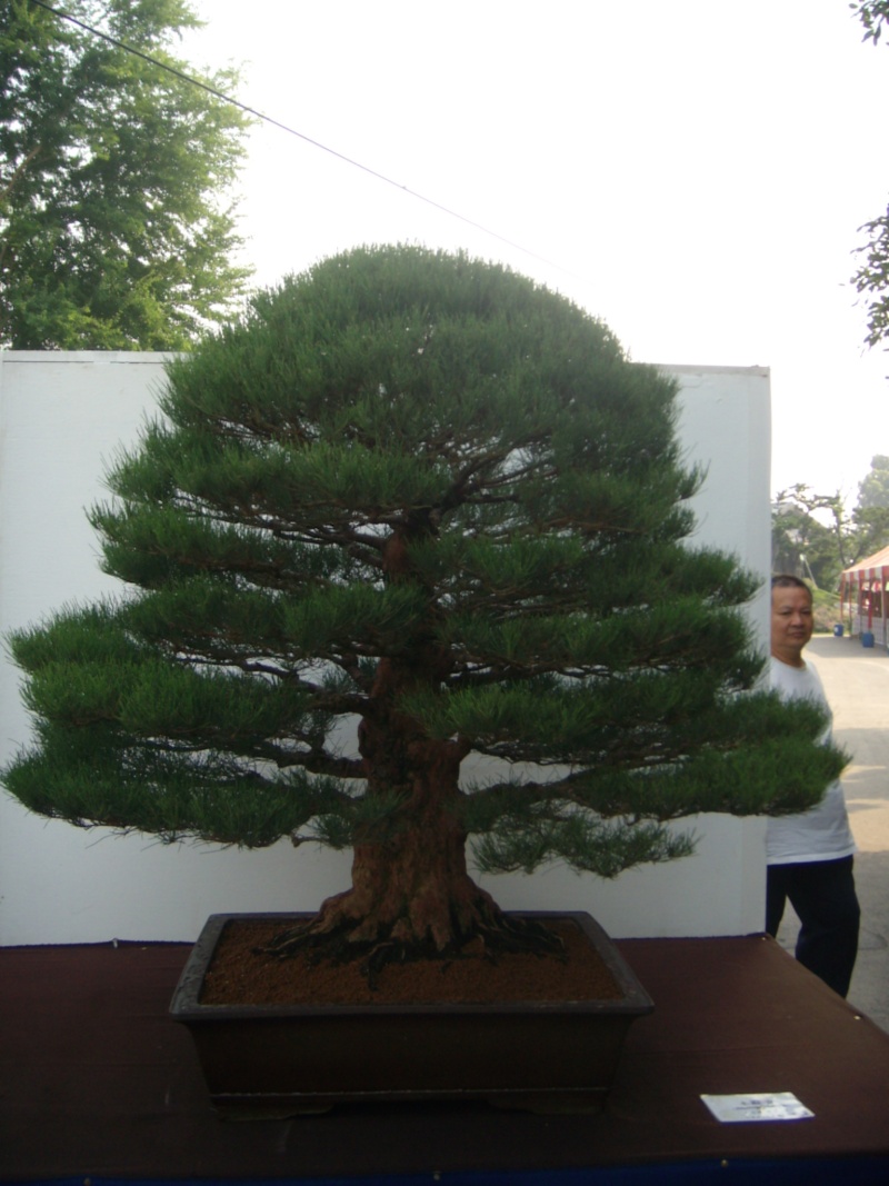 dscn2825.jpg