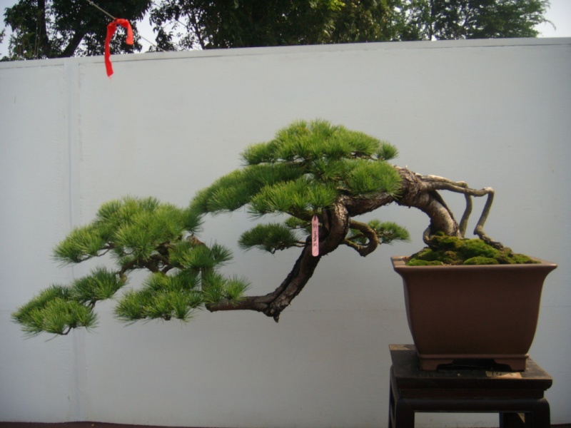 dscn2834.jpg