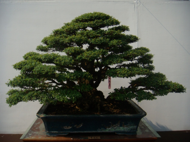 dscn2838.jpg