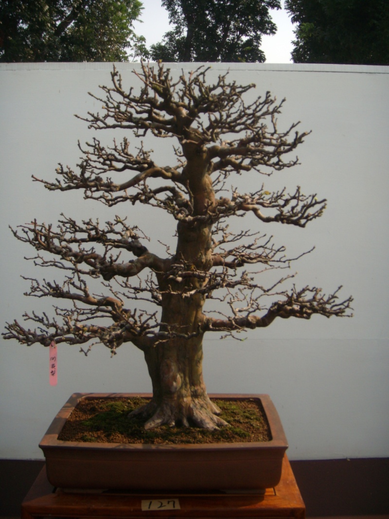 dscn2841.jpg