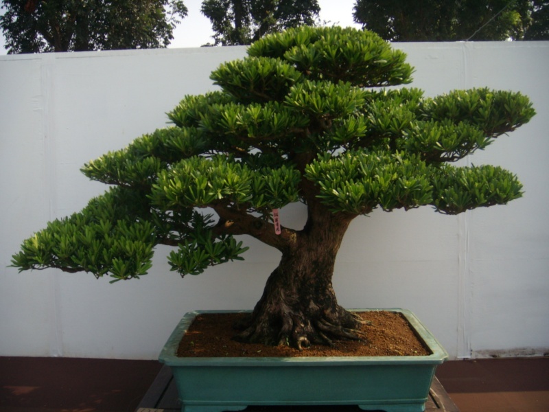 dscn2843.jpg