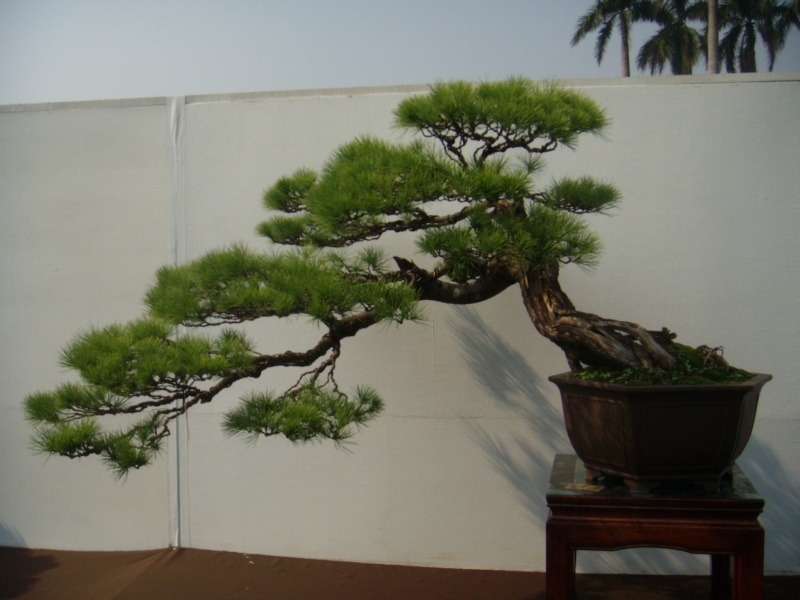 dscn2844.jpg