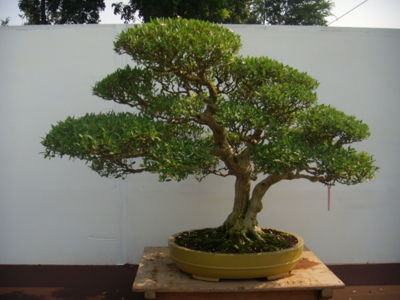 dscn2846.jpg
