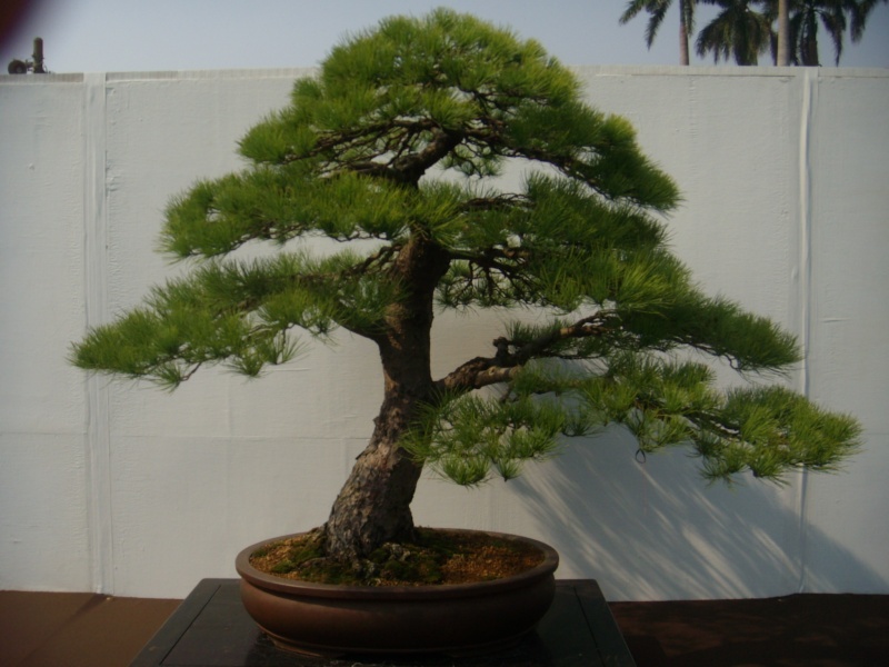dscn2847.jpg