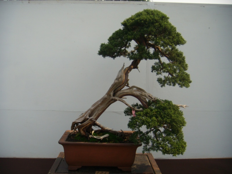 dscn2848.jpg
