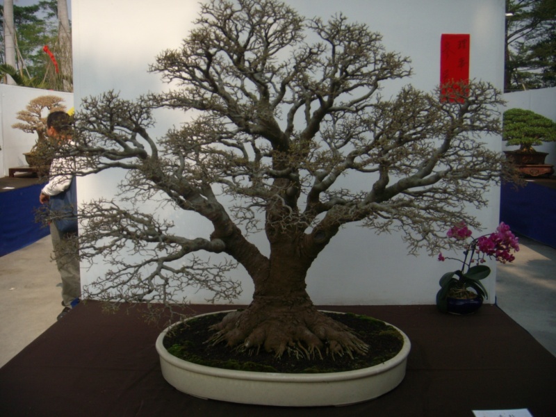 dscn2852.jpg