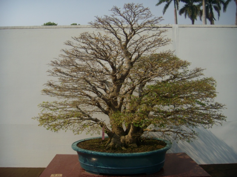 dscn2913.jpg