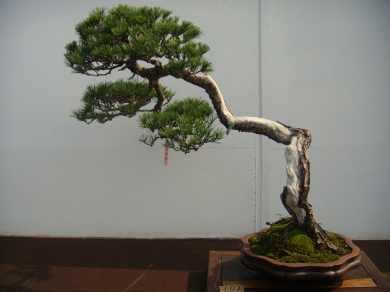 dscn2918.jpg