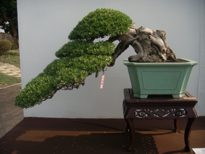 dscn2924.jpg