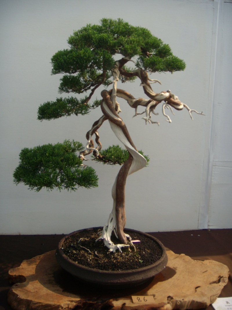 dscn2926.jpg
