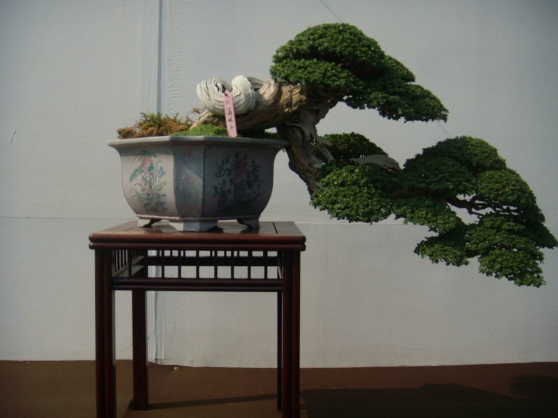 dscn2931.jpg