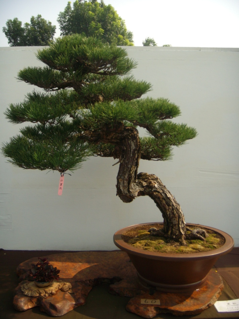 dscn2941.jpg