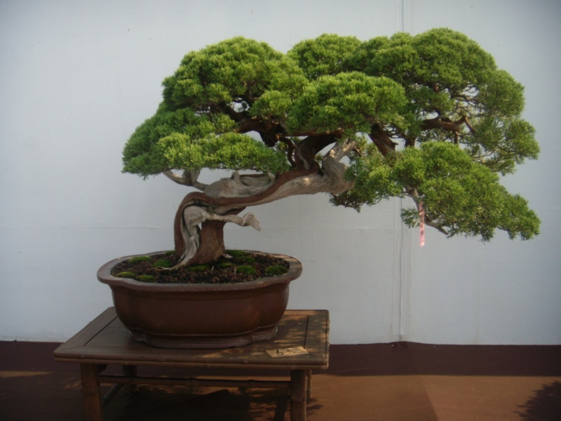 dscn2946.jpg