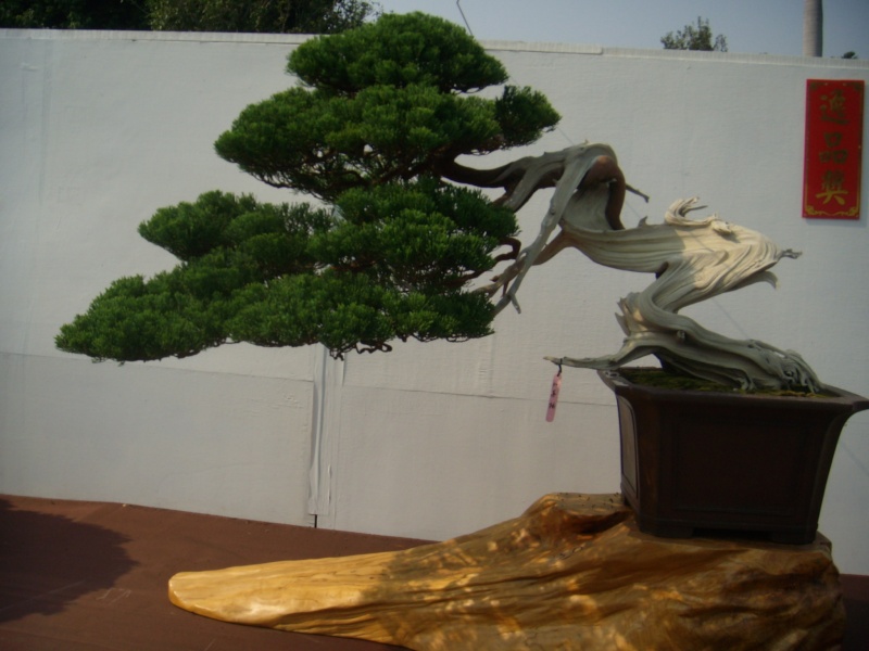 dscn2953.jpg