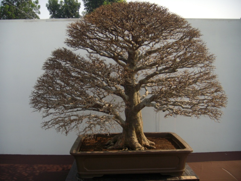 dscn2954.jpg